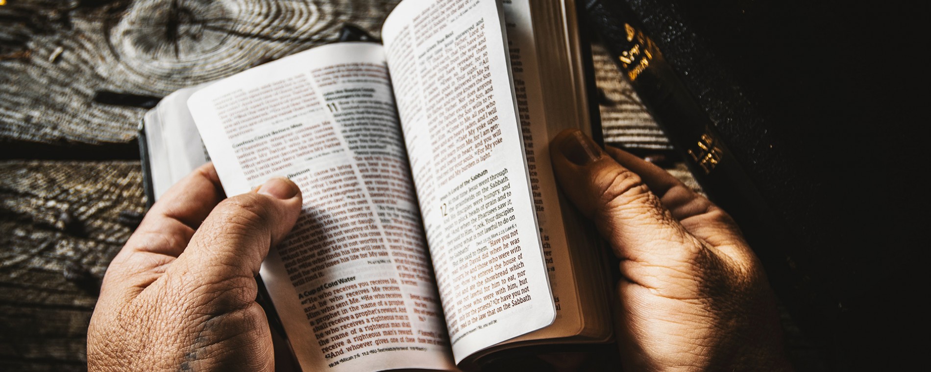 Co má vděčný člověk navíc (díkuvzdání)